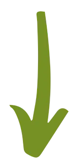 fleche_bas_vert